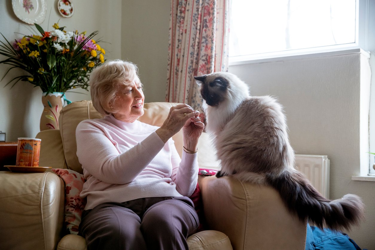 Woman relaxing with cat